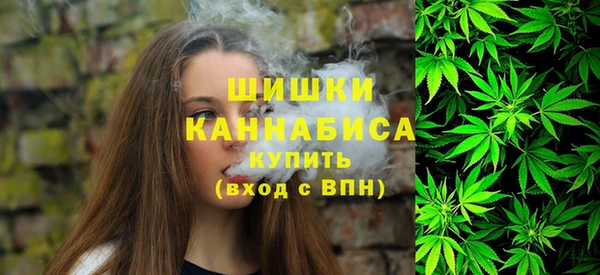 твердый Медногорск