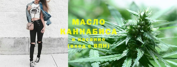 твердый Медногорск